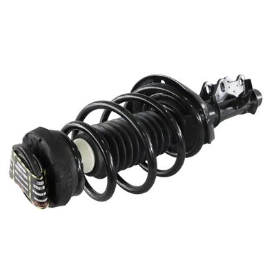 SHOCKS & STRUTS