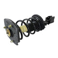 LOADED STRUT
