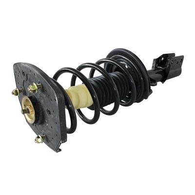 LOADED STRUT