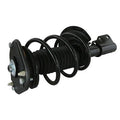 LOADED STRUT