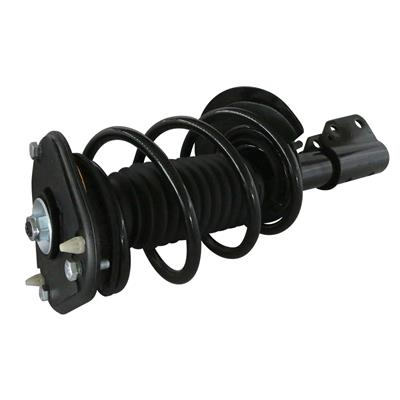 LOADED STRUT