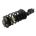 LOADED STRUT