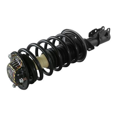 LOADED STRUT