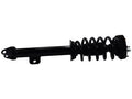 LOADED STRUT