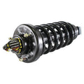 SHOCKS & STRUTS