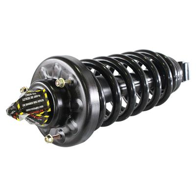 SHOCKS & STRUTS