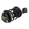 LOADED STRUT