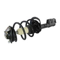 LOADED STRUT