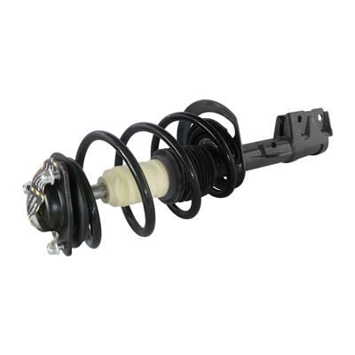 LOADED STRUT