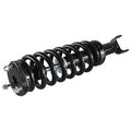 LOADED STRUT
