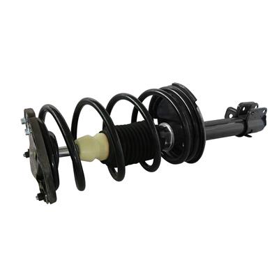 LOADED STRUT