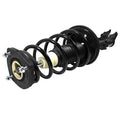 LOADED STRUT