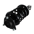 LOADED STRUT