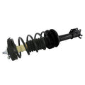 LOADED STRUT