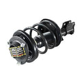 SHOCKS & STRUTS