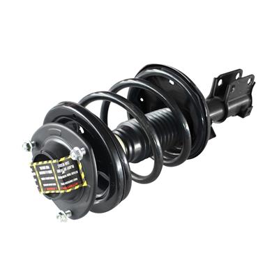 SHOCKS & STRUTS