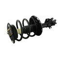 LOADED STRUT