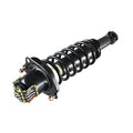 SHOCKS & STRUTS