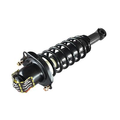 SHOCKS & STRUTS