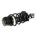 SHOCKS & STRUTS