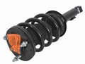 STRUT AND COIL SPRING ASSEMBLY