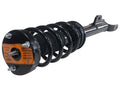 LOADED STRUT