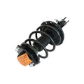 LOADED STRUT