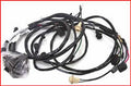 HEADLAMP WIRING HARNESS