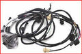HEADLAMP WIRING HARNESS