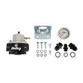 EFI FUEL PUMPS