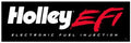 BANNER HOLLEY EFI