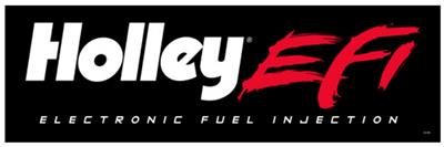 BANNER HOLLEY EFI