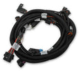 SUB HARNESS FORD COYOTE TI-VCT