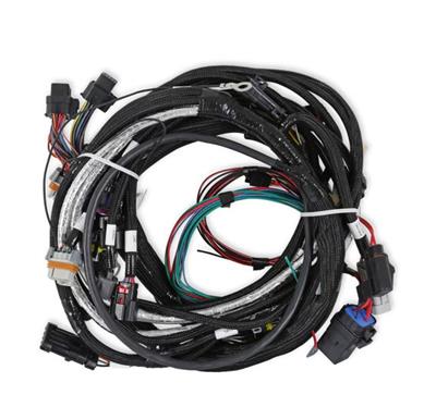 LT4 MAIN HARNESS