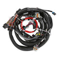 LS MAIN HARNESS