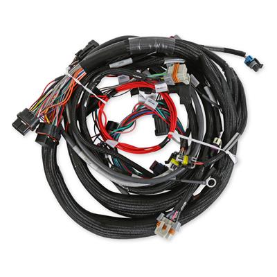 LS MAIN HARNESS