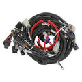EXT LENGTH 58X LS MAIN HARNESS