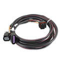FUEL INJECTION WIRE HARNESS