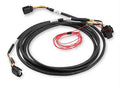 DBW HARNESS FORD COYOTE