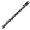 CAMSHAFT HYDRAULIC ROLLER