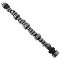 CAMSHAFT HYDRAULIC ROLLER