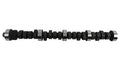 CAMSHAFT HYD FLAT FORD 221-302