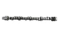 CAMSHAFT HYD ROLLER PONTIAC