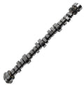 CAMSHAFT HYD ROLLER OLDS V8