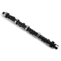 CAMSHAFT HYDRAULIC FLAT TAPPET