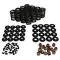 VALVE SPRING KIT