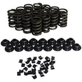 VALVE SPRING KIT