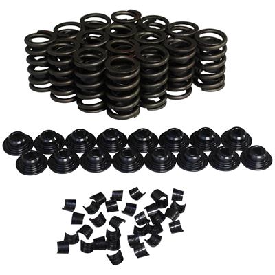 VALVE SPRING KIT