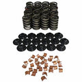 VALVE SPRING KIT
