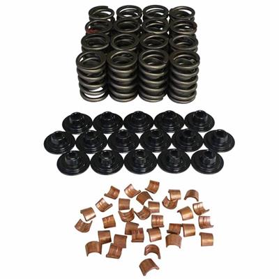 VALVE SPRING KIT